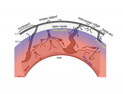 Crust and Mantle