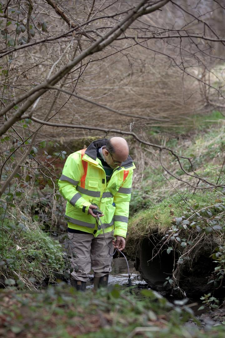 David Lerner, University of Sheffield