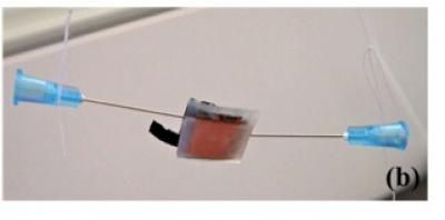 Micro Microbial Fuel Cell