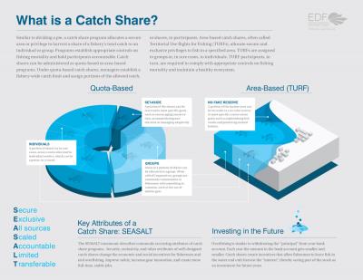 What is a Catch Share? 