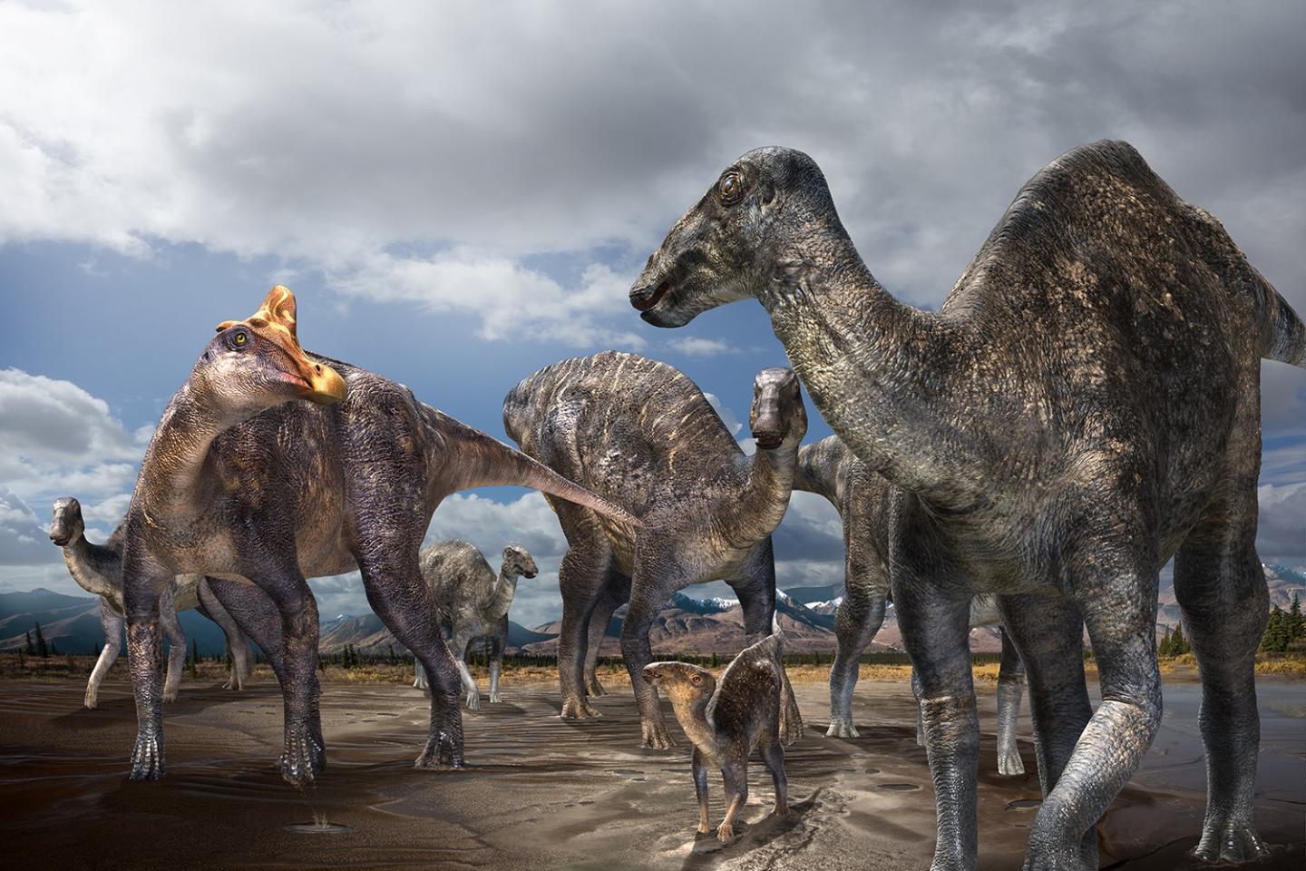 Life Reconstruction at Liscomb Bonebed Region during the Late Cretaceous