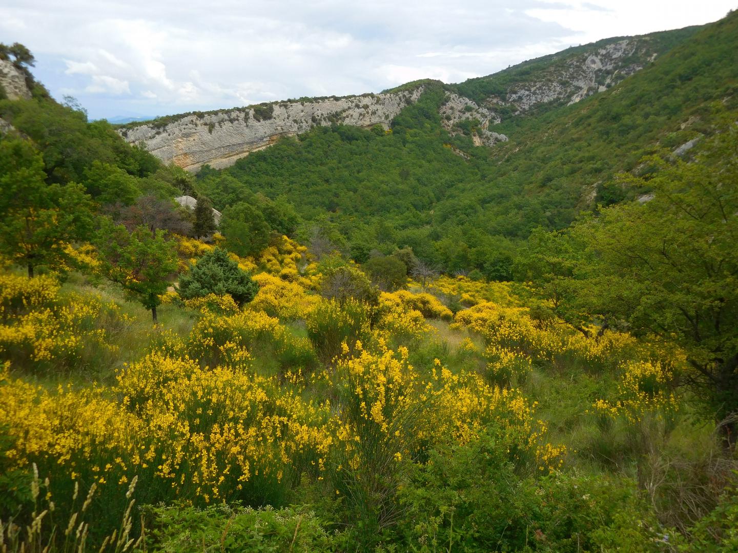 Climate Change Means Major Ecosystem Shifts for the Mediterranean Basin (4 of 4)