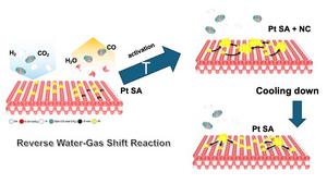 catalyst assembly schematic