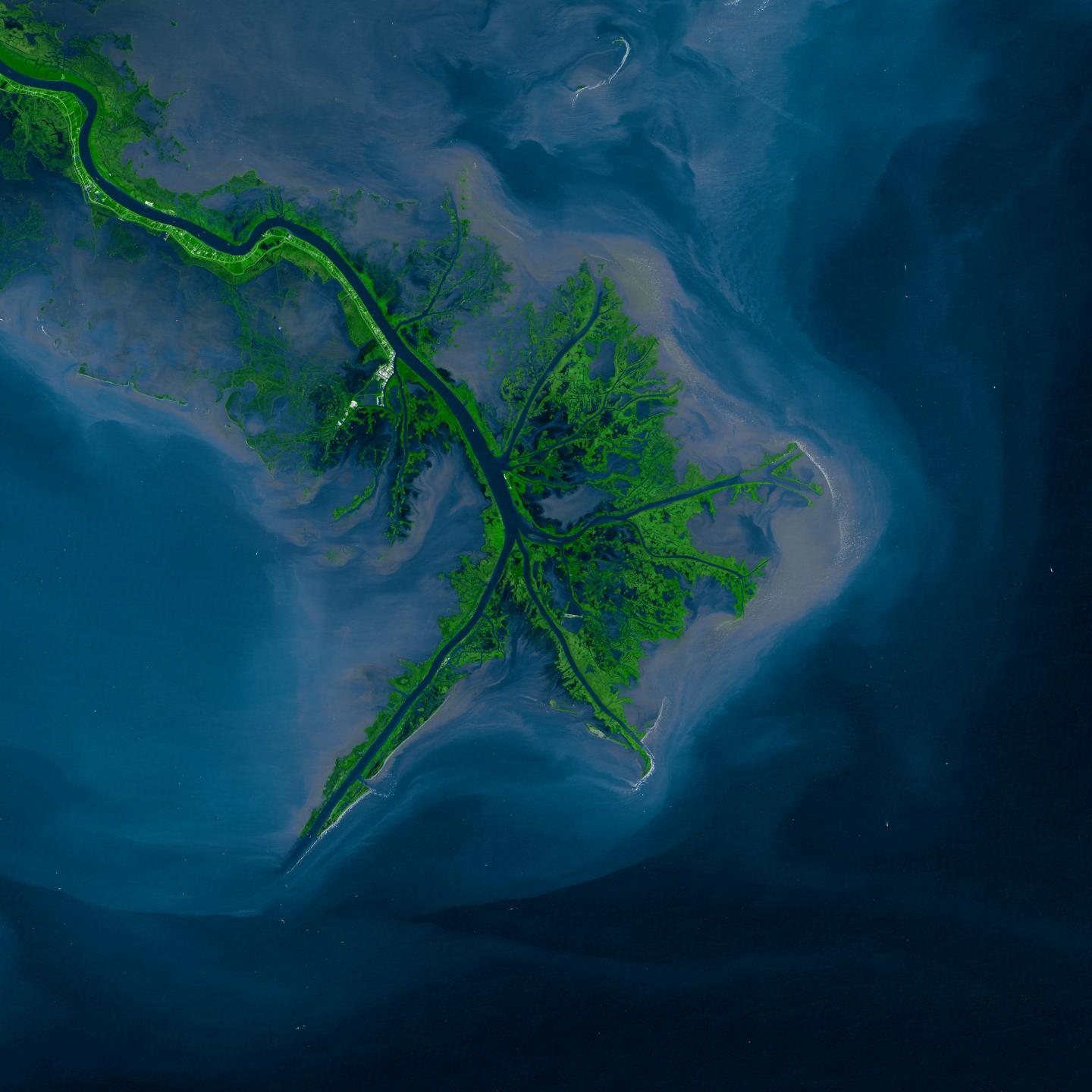 Mississippi River Delta, 2001