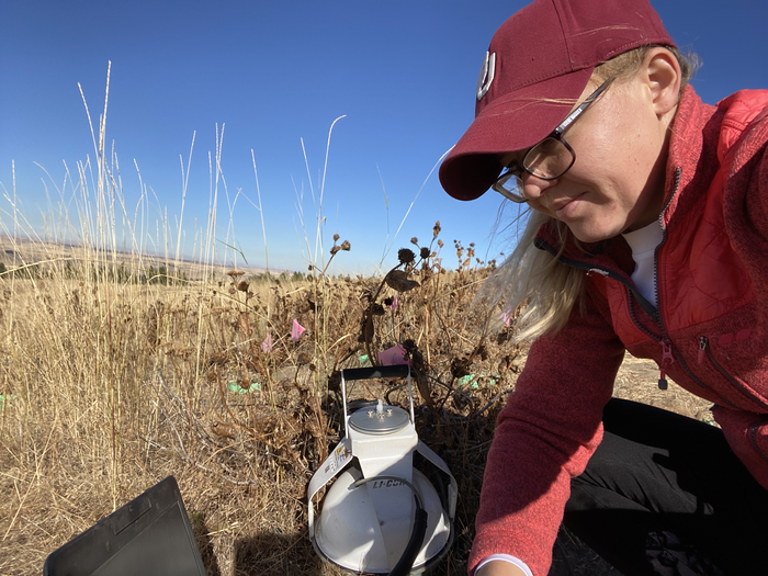 Jane Lucas measures CO2 production from prairie soil samples