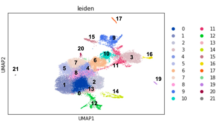 (Fig. 1)UMAP plot for clustering of embryonic cells obtained by single-cell RNA-seq analyses