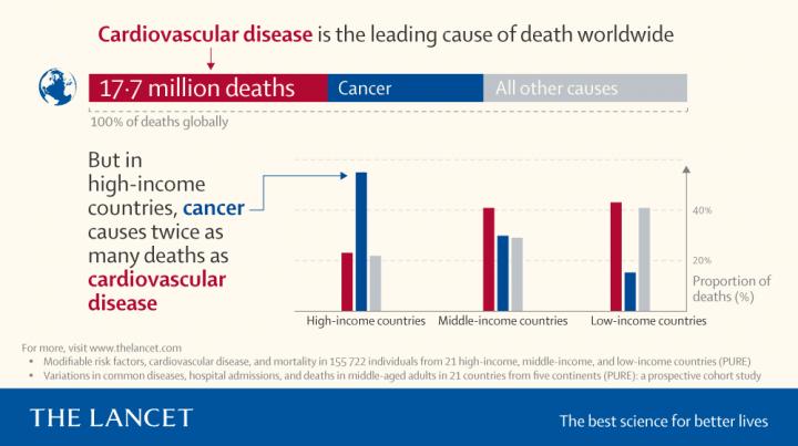 Cardiovascular Disease Is the Leading Cause of Death Worldwide