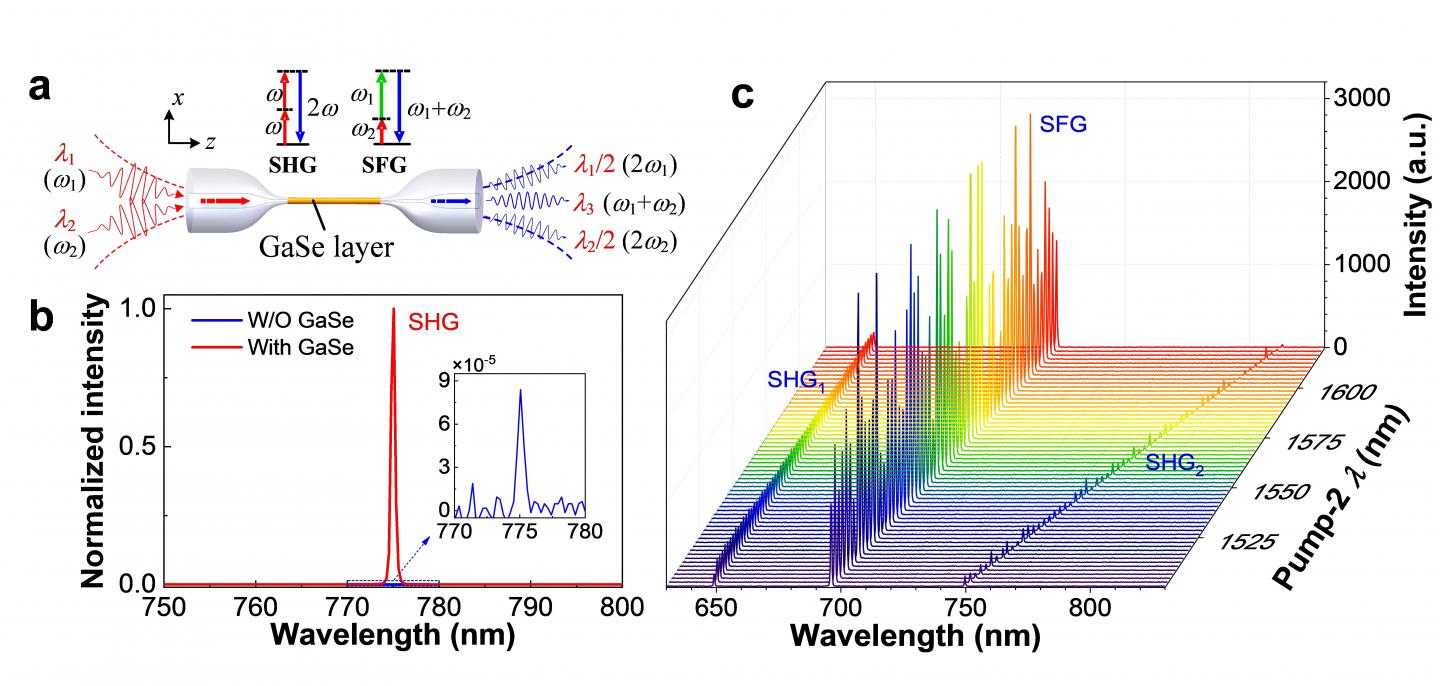 Wavelength (Or Frequency) Conversion of the GaSe-Integrated Microfiber