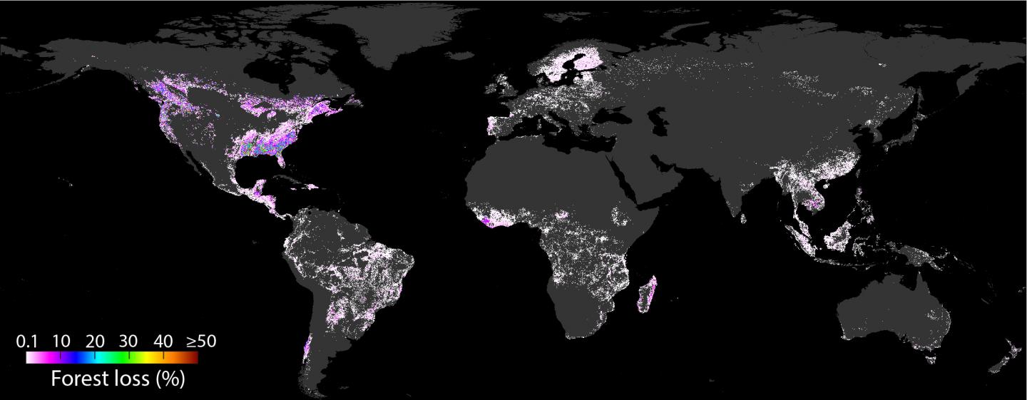 Global deforestation driven by the consumption in the US