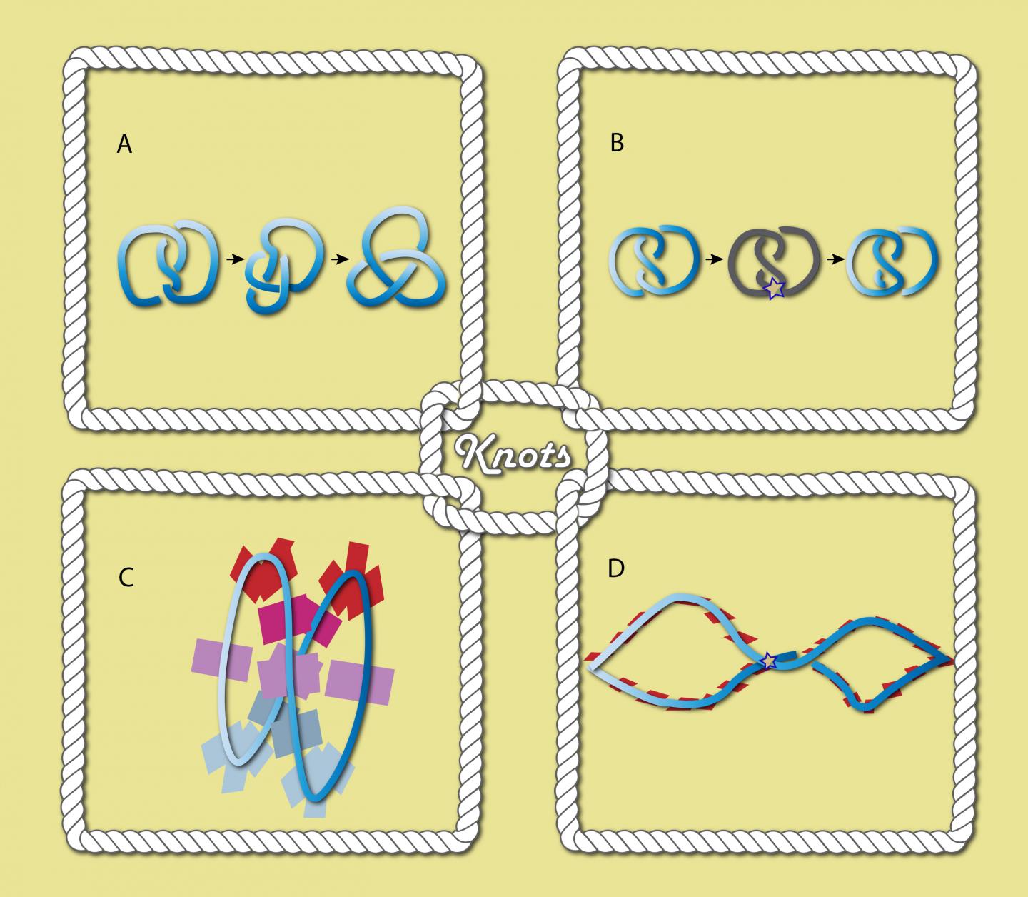 Examples of Simple, Singular, Legendrian, and Legendrian Singular Knots