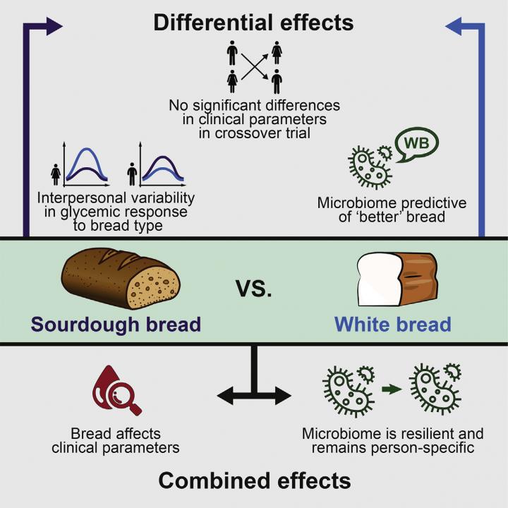 White Versus Sourdough Bread