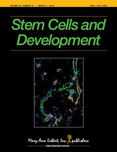 Stem Cells and Development