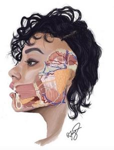 UCalgary team creates anatomy repository to b