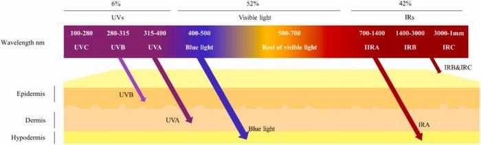 Fig. 3. Solar radiation spectrum and the ability of light to penetrate the skin