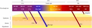 Fig. 3. Solar radiation spectrum and the ability of light to penetrate the skin