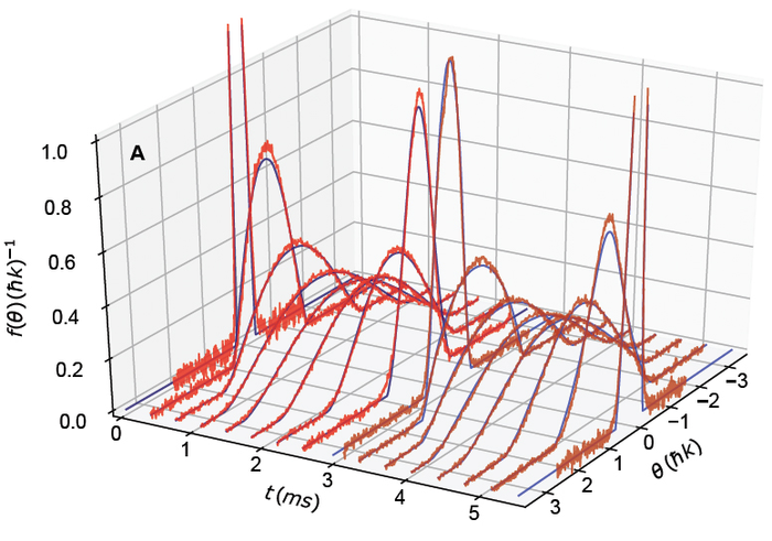 Quasiparticle momentum distribution