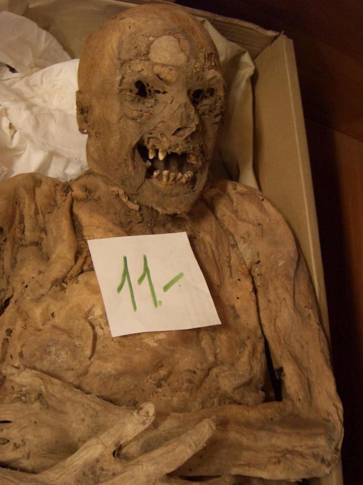 Hungarian Mummy