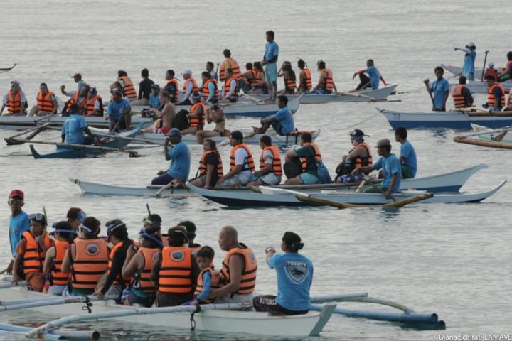 Whale shark tourism at Oslob, Philippines