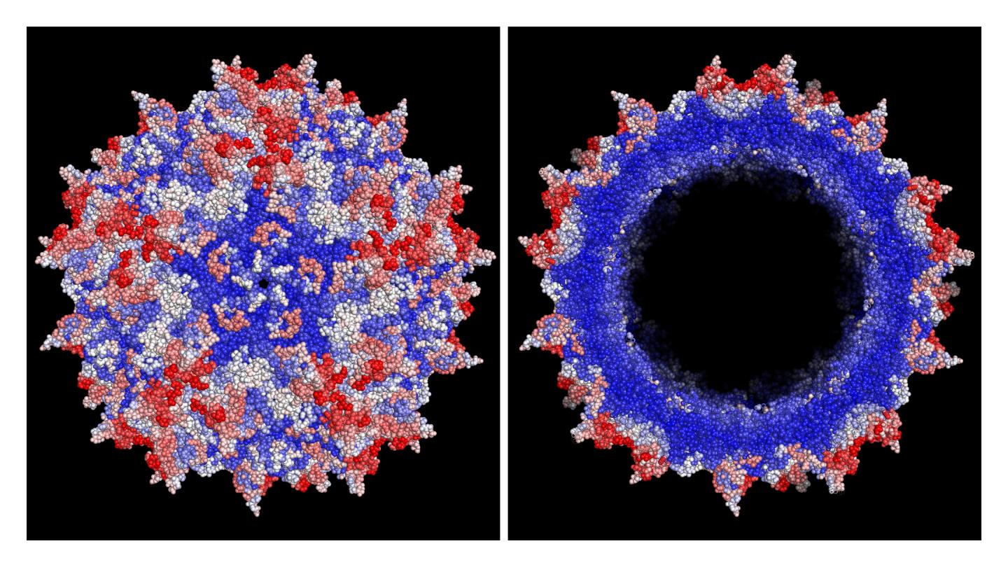 Improved AAV Vector Capsid for Gene Therapy Engineered with a New Machine-Guided Approach