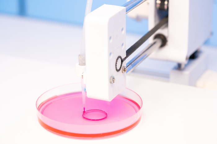 3D bioprinting