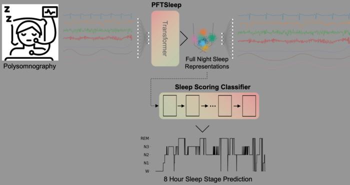 New AI Model Analyzes Full Night of Sleep With High Accuracy in Largest Study of Its Kind