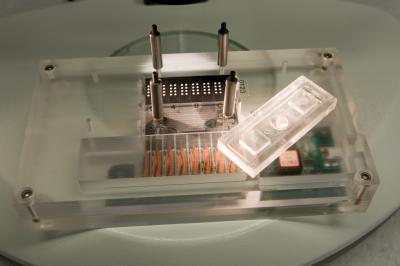 Fertilization Device