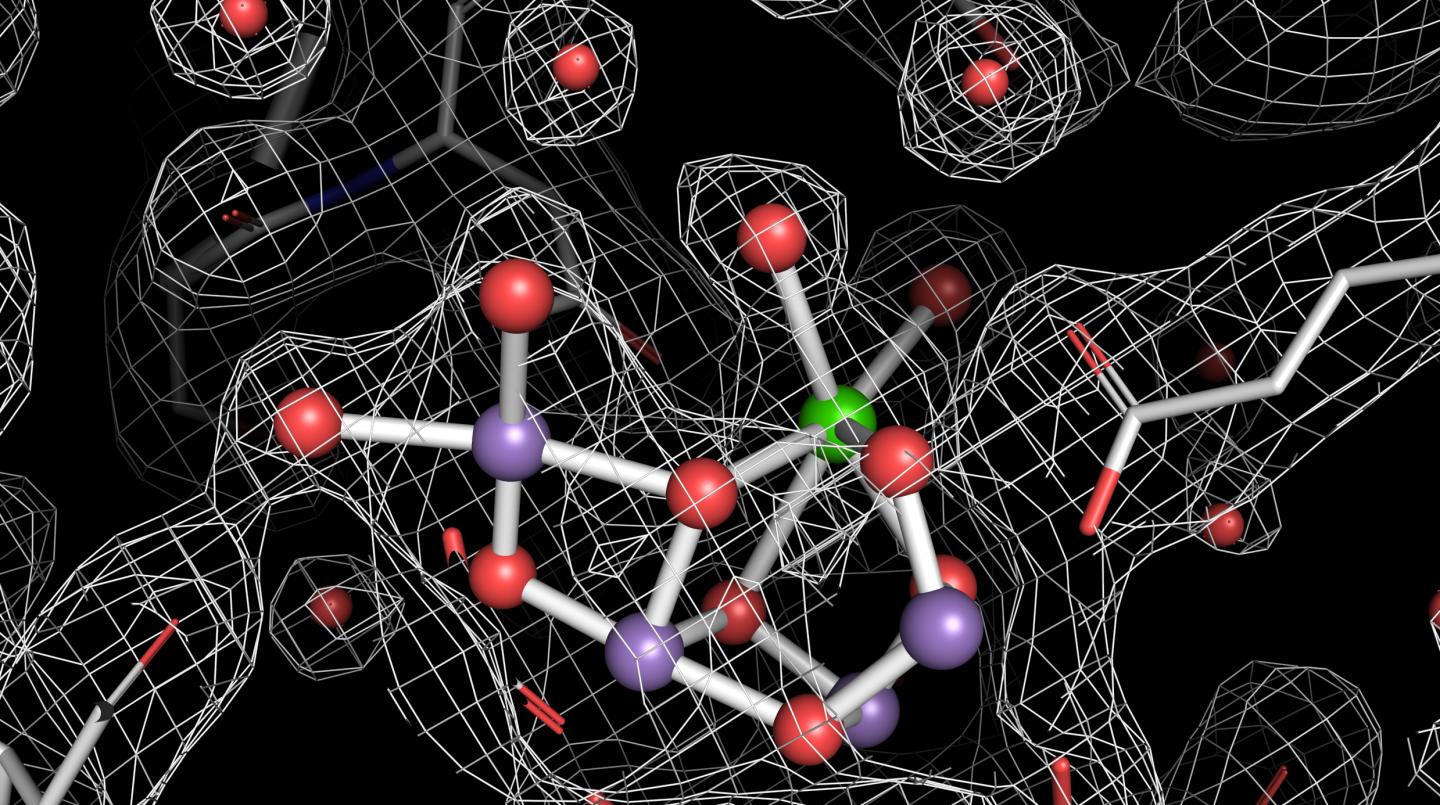 Water Oxidizing Complex in Photosystem II