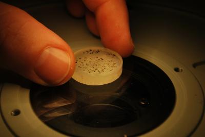 Crystals under Microscope