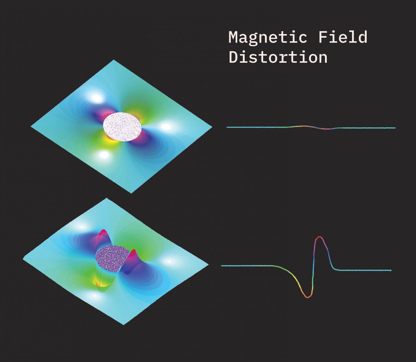 A Signature for Cance [IMAGE] EurekAlert! Science News Releases