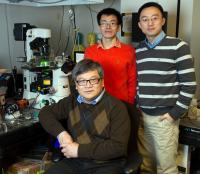 Cheng Zhu, Baoyu Liu and Wei Chen, Georgia Institute of Technology