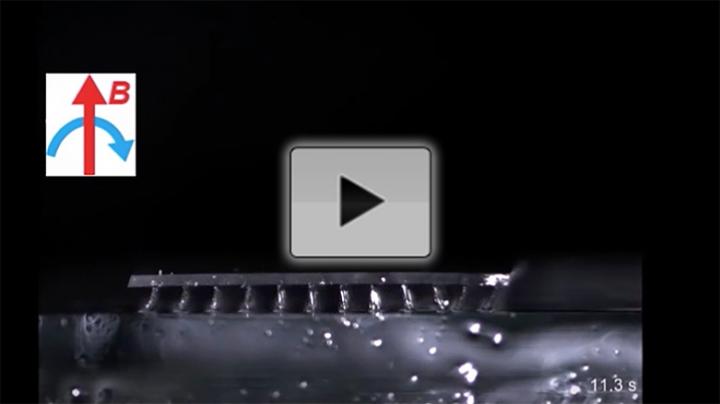 Magnetically propelled cilia power climbing soft robots and microfluidic pumps (video)