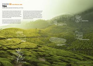 A panel on the loss and reuse potential of tea