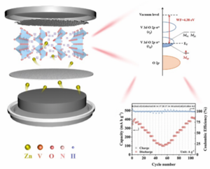 Intercalant-induced V t2g orbital occupation in vanadium oxide cathode toward fast-charging aqueous zinc-ion batteries