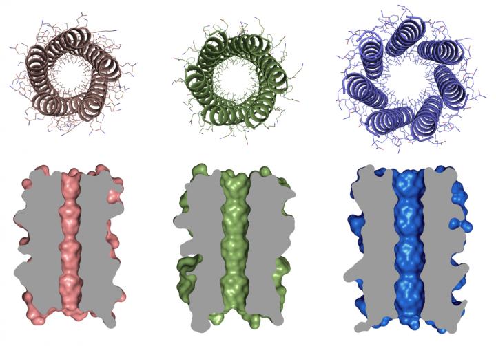 Designer Barrel Proteins