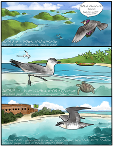 Arctic Birds Connect the World Comic (Page 2 of 3)