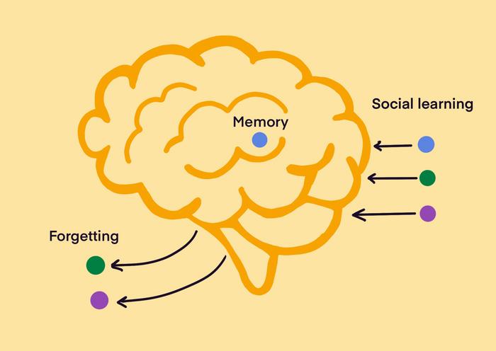 Artistic representation of some of the study's key concepts