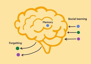 Artistic representation of some of the study's key concepts