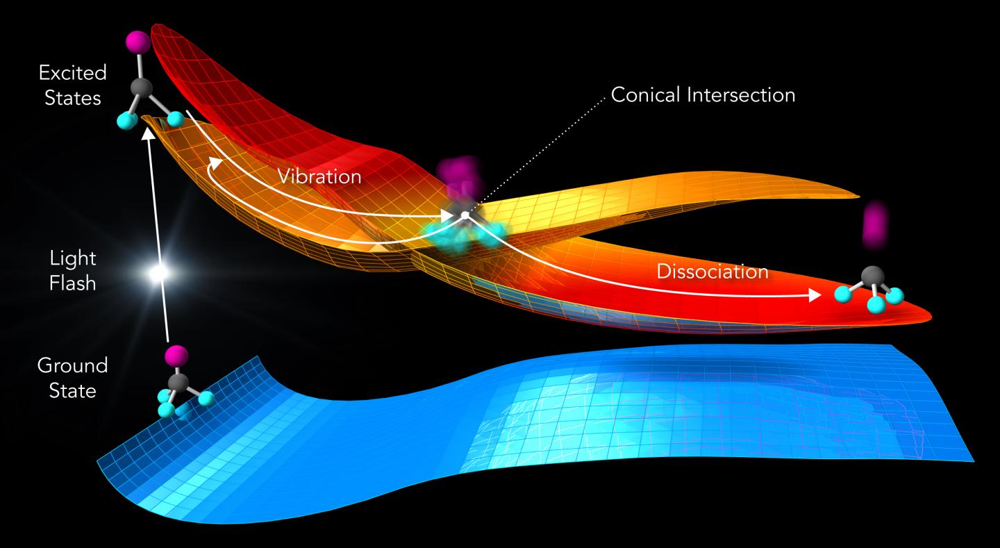 Illustration of the Laser-Driven Response of Trifluoroiodomethane Molecules