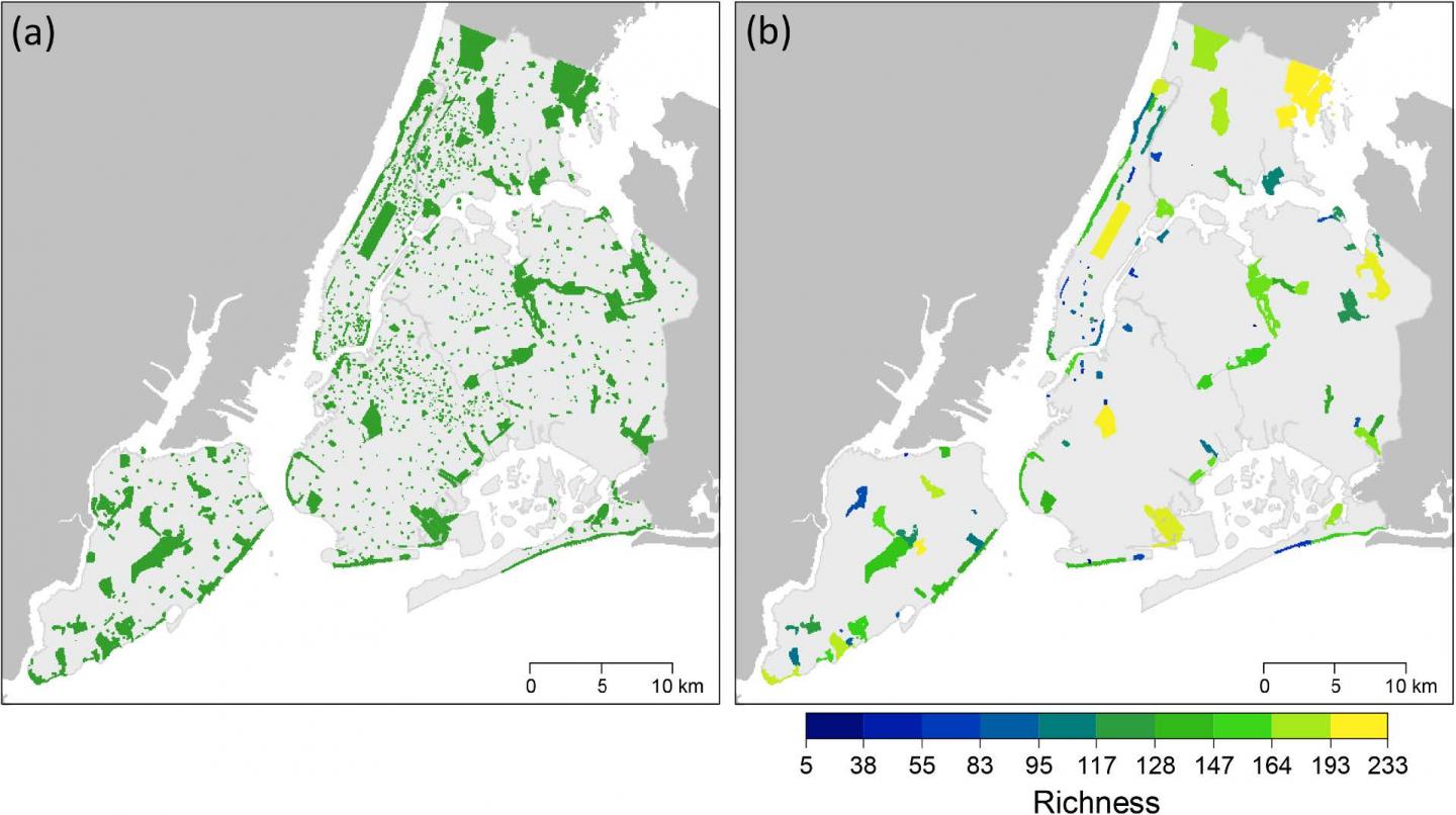 New York City Green Spaces