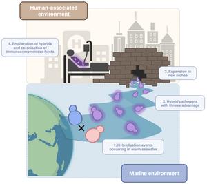 The climate crisis could trigger the outbreak of  new and lethal infectious diseases