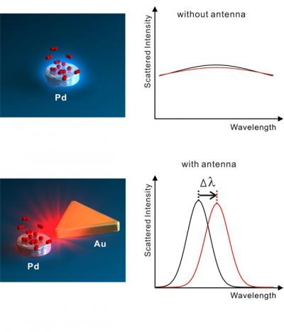Nanoantenna Plasmonic Sensing