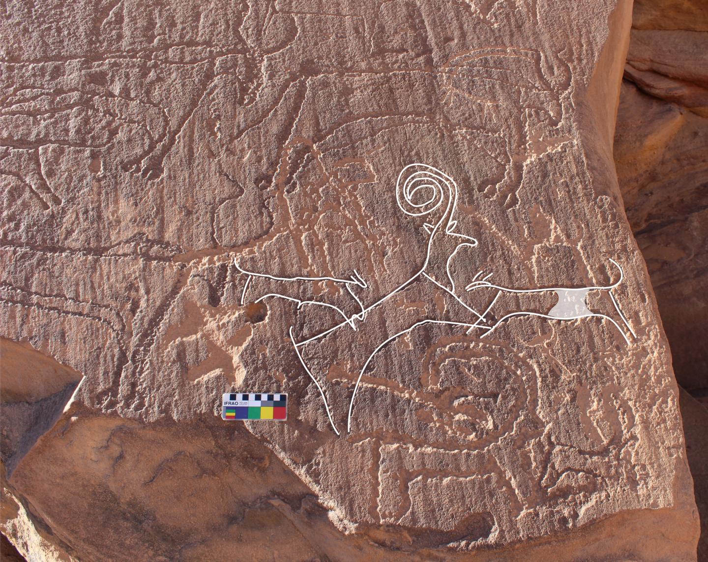 AlUla rock art panel of two dogs hunting an ibex