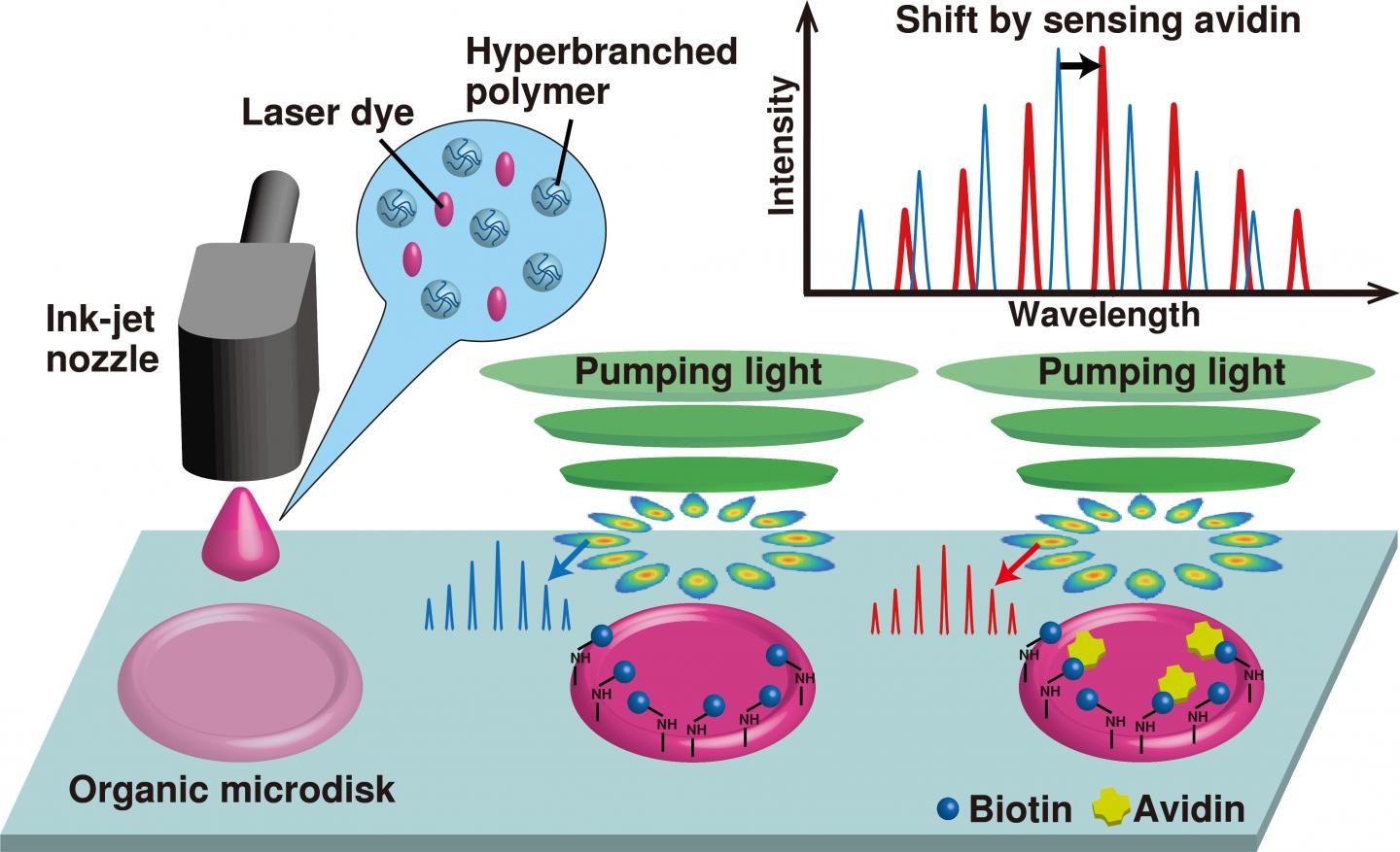 Biosensing