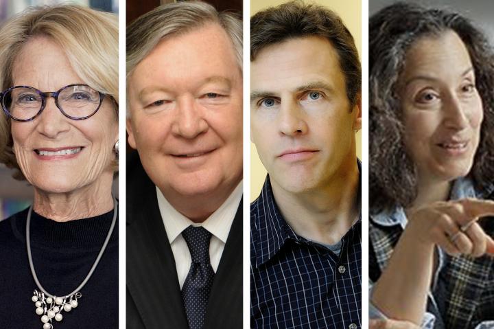 Virginia Tech, Penn researchers show early learning shapes brain anatomy