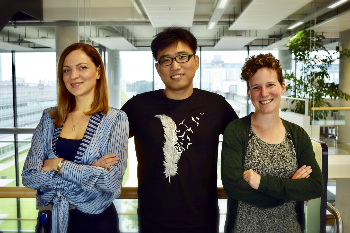 Sasa Gazibegovic, Hao Zhang and Diana Car, Eindhoven University of Technology