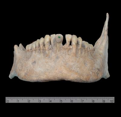 Indication of a High Social Status