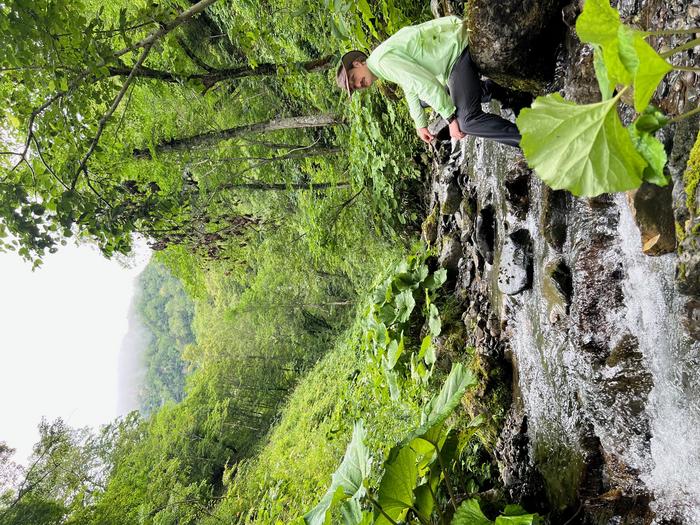 Field work in Japan