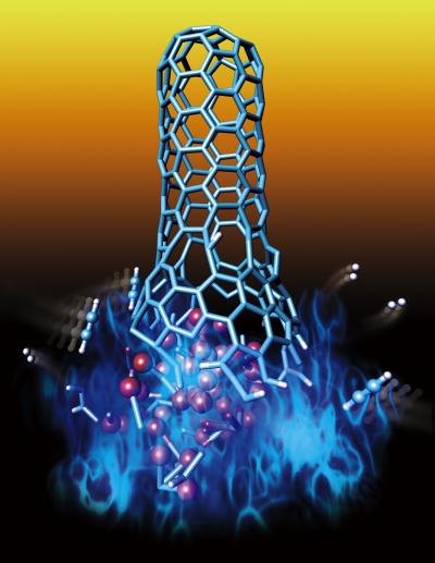 Carbon Nanotube Growth