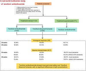 Effectiveness and Safety of Tenofovir Amibufenamide in the Treatment of Chronic Hepatitis B