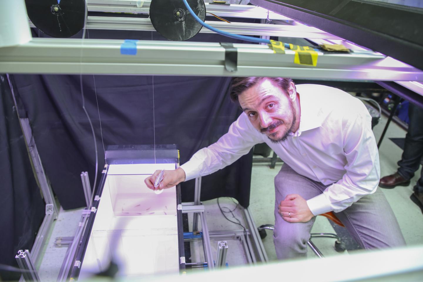 Maurizio Porfiri, Ph.D., NYU Tandon School of Engineering